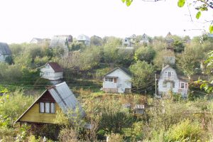 Дачи требуют отдачи