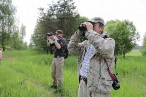 Цветущий  производственный  ландшафт