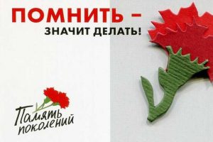 В Курской области стартовала акция в помощь ветеранам «Красная гвоздика»