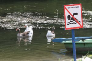 Вода унесла пять жизней