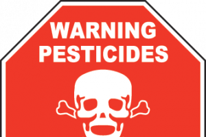 Основные требования при обработке полей пестицидами