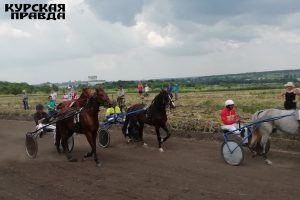 В Щигровском районе проходит Чемпионат сельских наездников