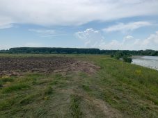В Курской области распахали луг у озера, нарушив Водный кодекс