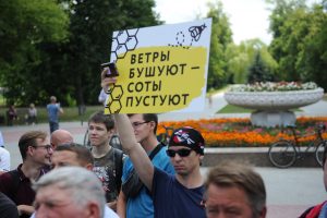 Пчелиный вой