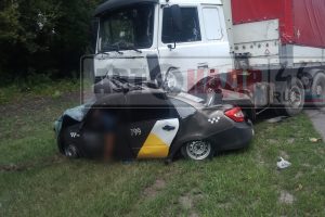 Водитель и пассажир такси погибли в ДТП в Курской области