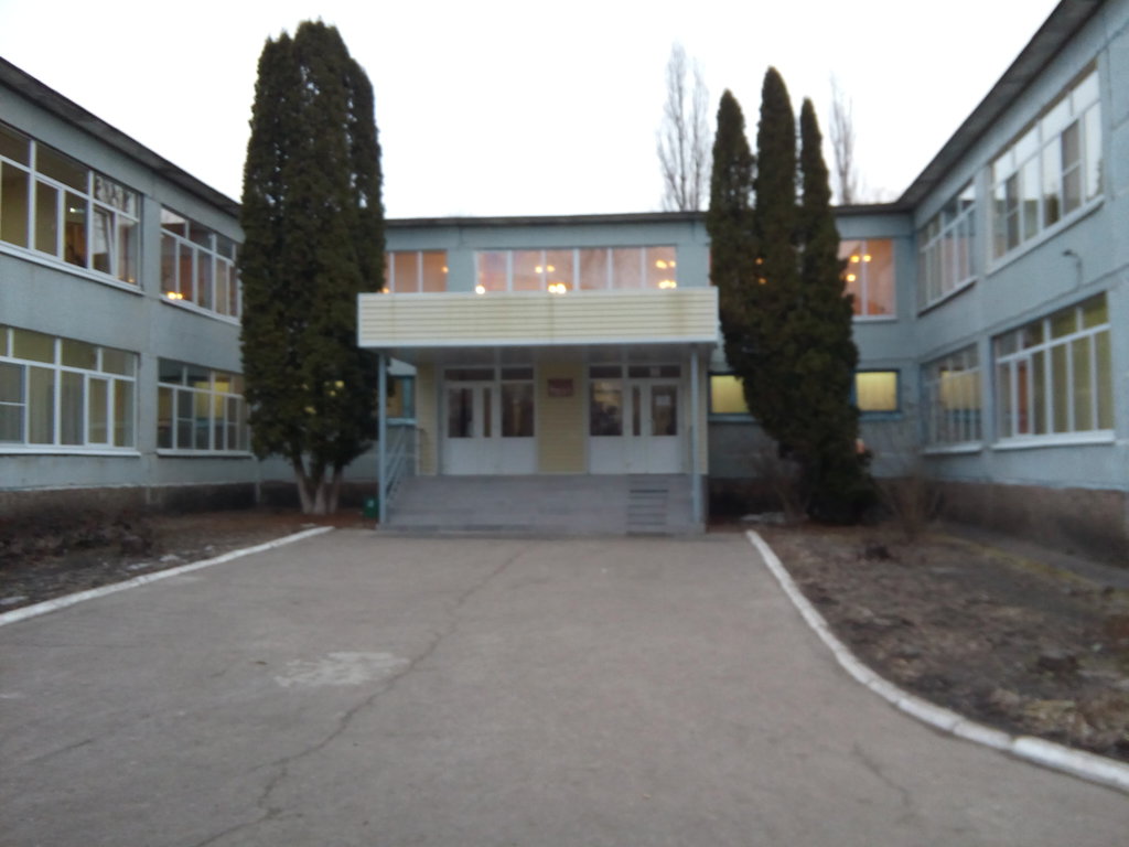Начальные школы курск