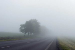 В Курской области прогнозируют туман