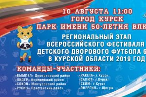 В Курске пройдет Всероссийский фестиваль дворовых футбольных команд