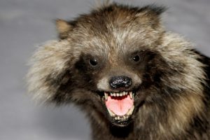 Прививка жизненно необходима