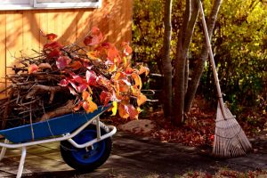 Готовим огород к зиме