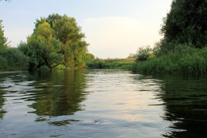 На водохранилище реки Тускари превышения предельно допустимой концентрации вредных веществ не зафиксировано