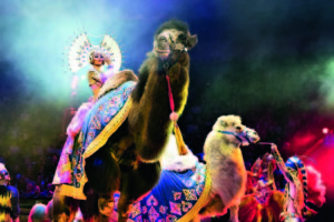 В Курский цирк пришла роскошная «Песчаная сказка» Гии Эрадзе
