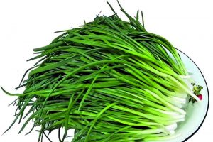 Зеленый лук без земли и горшка круглый год