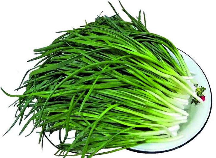 Зеленый лук без земли и горшка круглый год