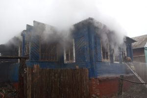 В Конышевском районе при пожаре сгорела курянка