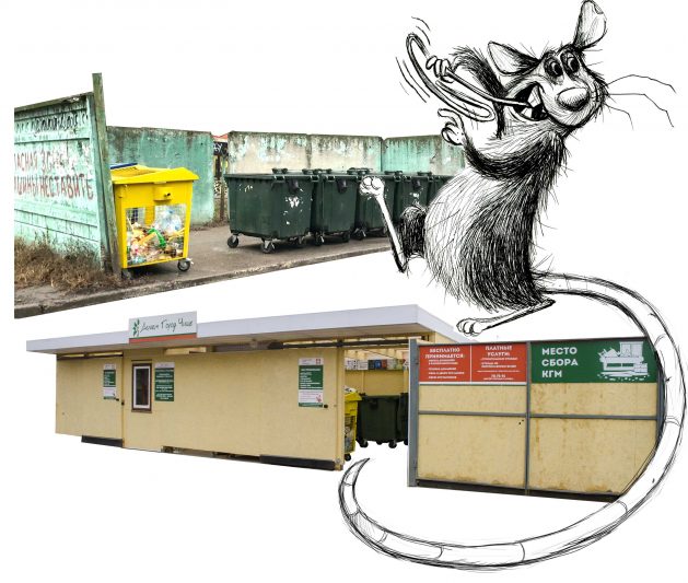 Чище, если вместе  и без крыс