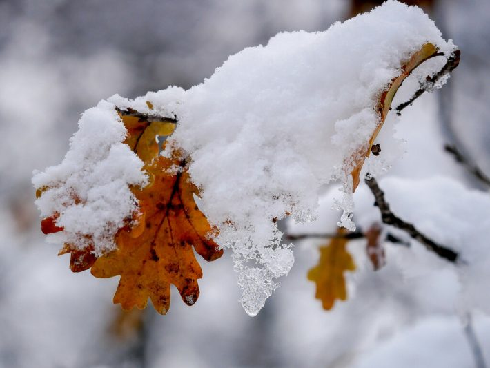 В Курске ожидается похолодание