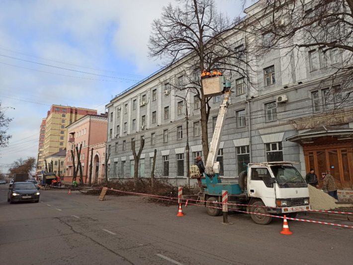 В Курске на улице Почтовой начали сносить липы