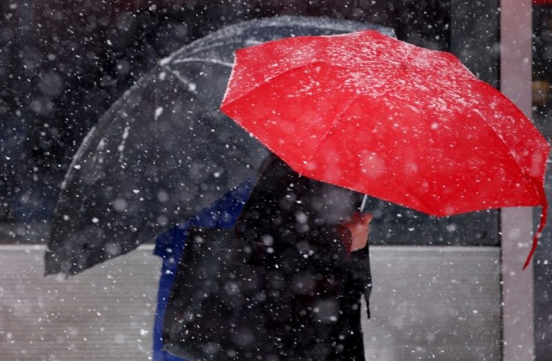 Завтра в Курской области ожидается мокрый снег
