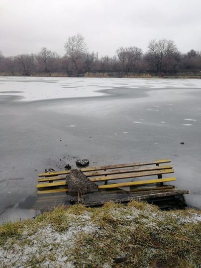В Курске вандалы сбросили скамейку в Ермошкино озеро