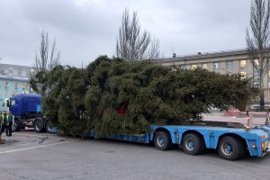 В Курске начали устанавливать новогоднюю елку