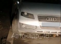 В Курске крысы продолжают атаковать автомобили курян