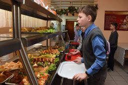 Обеды для школьников Курской области станут бесплатными