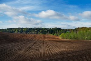 В Курской области обнаружили три тысячи гектаров бесхозных земель