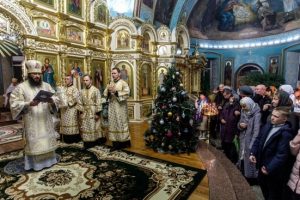 Глава Курской митрополии Герман поздравил курян с Рождеством
