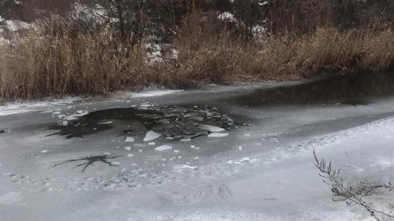 В Курске дети провалились под лёд дети