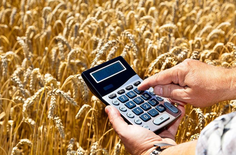 Курским аграриям бесплатно помогут составят бизнес-план