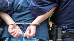 Курянин, подозреваемый в педофилии, арестован