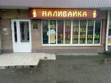 Курские активисты ОНФ настаивают на закрытии «наливаек» в жилых домах