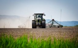 В Курской области за год производство сельскохоз продукции выросло на 13,9 %