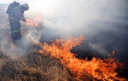 В Курской области ликвидировали около 600 палов травы