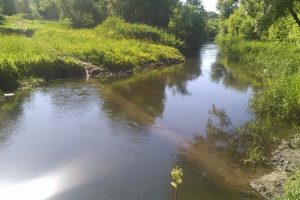 В Курской области готовятся к расчистке протоки Кривец реки Тускарь