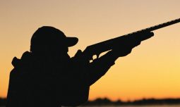 Курский охотник попался в лесу с ружьём и лишился права на охоту