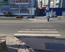 В Курской области 145 человек попали под колеса на пешеходных переходах