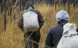 Два жителя Курской области отработают украденные рельсы