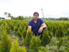 Житель Курской области выращивает туи и разводит перепелок