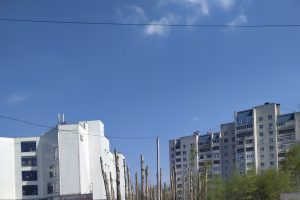 На «стрижку» зеленых насаждений в Курске потратят свыше двух миллионов рублей