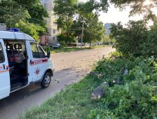 В Курской области сильный ветер повалил 11 деревьев