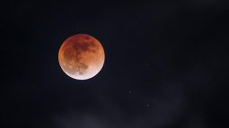Жители Курской области смогут увидеть лунное затмение