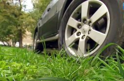 В Курске накажут 22 водителей за парковку на газоне