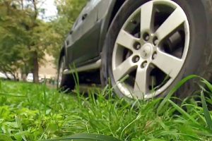 В Курске выявили 64 нарушителей, оставивших свое авто на газоне