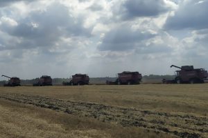 Медвенский район  первым завершает уборку ранних зерновых