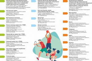 В Курской области выпустили брошюры об адаптивном спорте