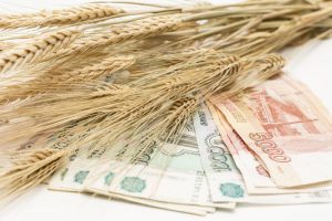 Почти полтора миллиарда рублей господдержки причитаются курским аграрникам