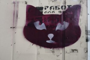В Курской области организовали движение «Коты против наркоты»