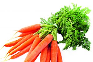 Уборка моркови  и способы хранения урожая
